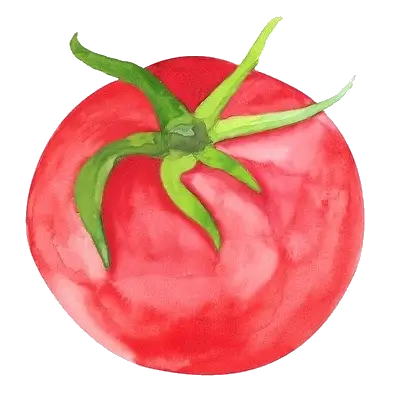 Tomate