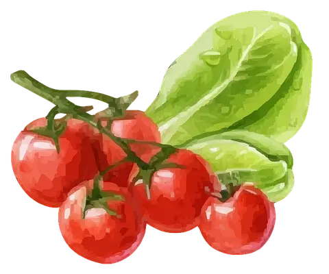 Tomaten