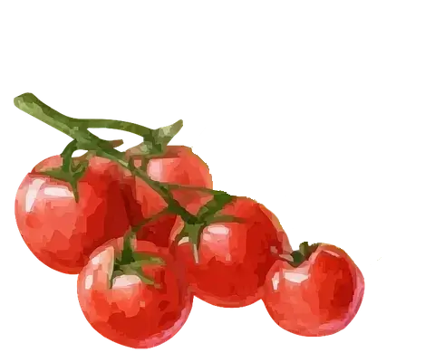 Tomaten