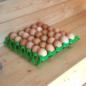 Eier